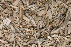 biomass boilers Levaneap